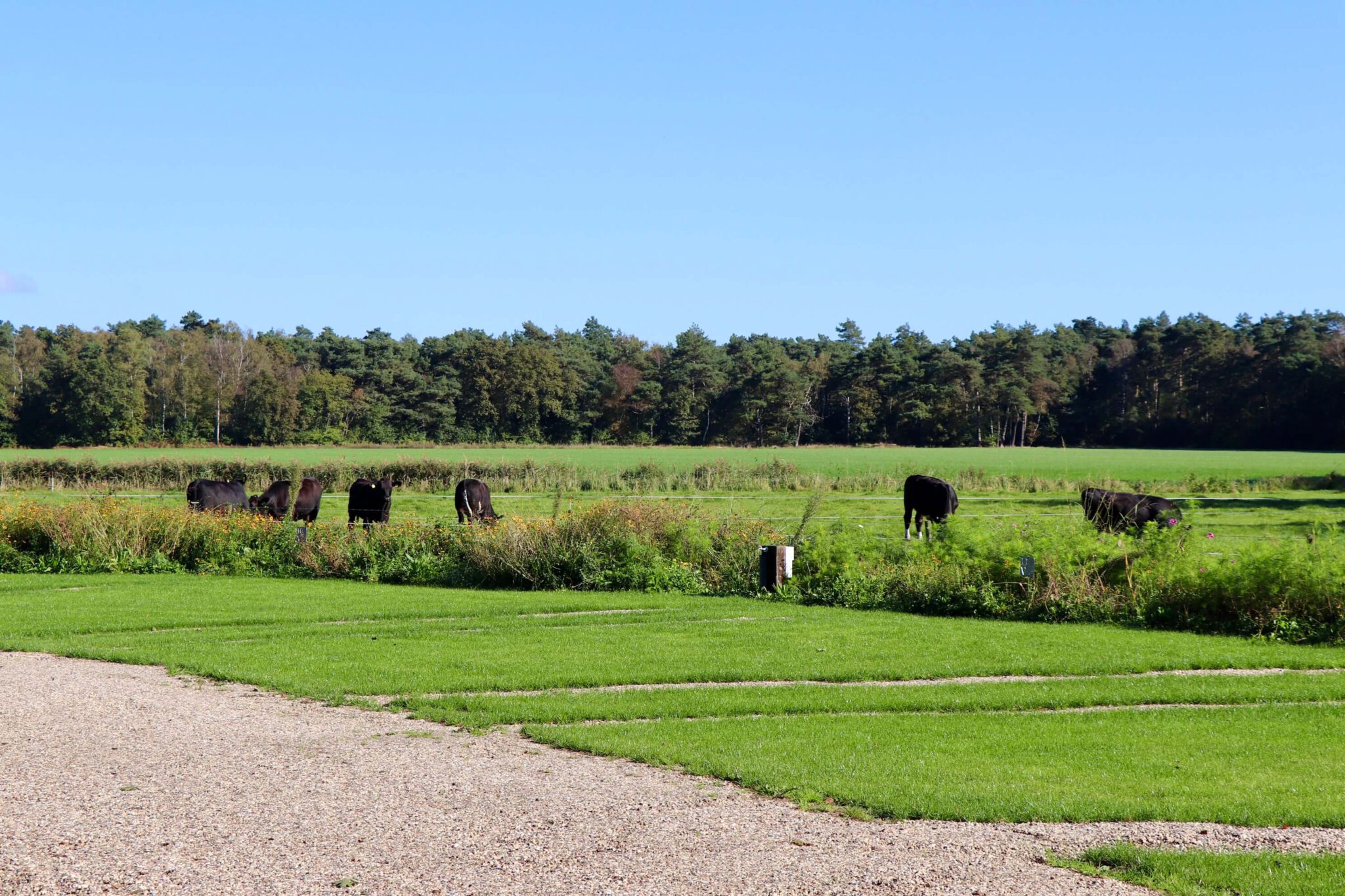 Erve Berg en Dal — Photo 10 of 12