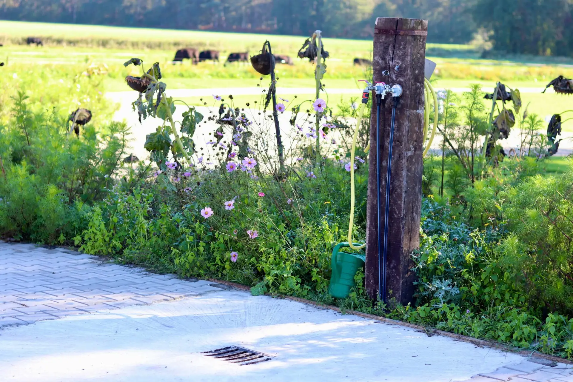 Afvoerplek voor je camperbenodigdheden