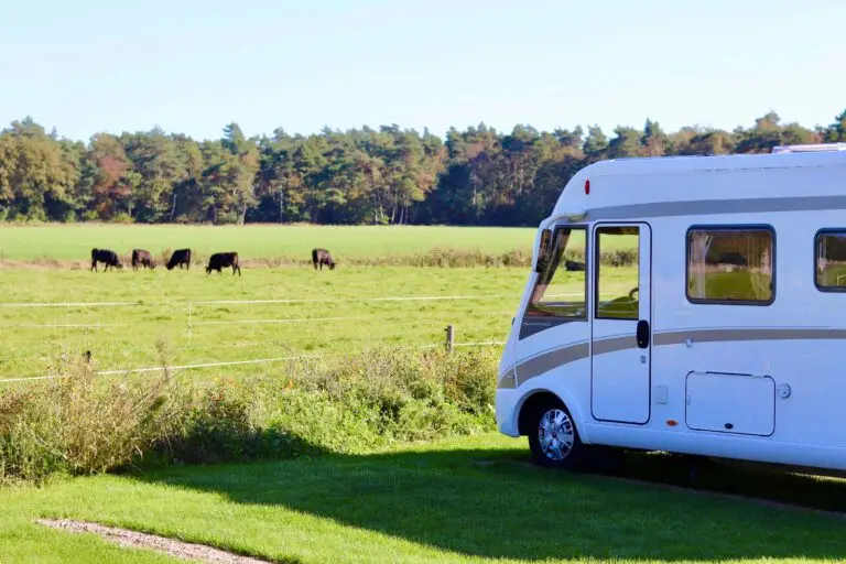 Camper op plek met uitzicht over weiland met koeien