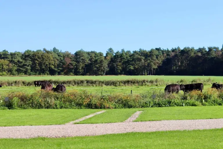 Camperplek met prachtig uitzicht