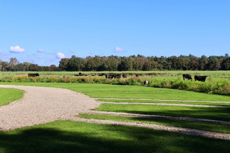 Camperplekken staplaatsen van camperpark Erve Berg en Dal